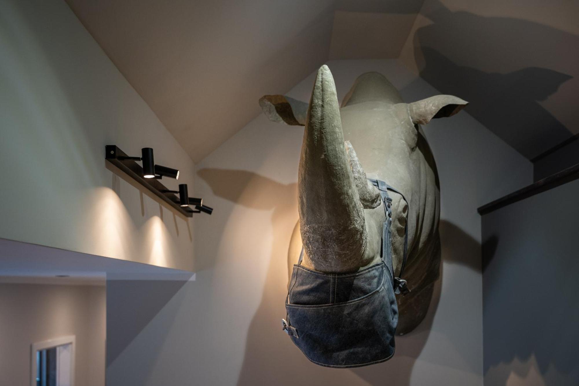 Apartmenthaus Burkhardt Meißen Kamer foto